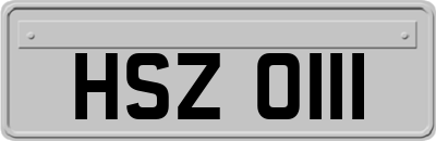 HSZ0111