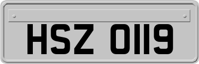 HSZ0119
