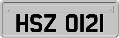 HSZ0121