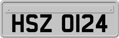 HSZ0124