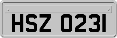 HSZ0231