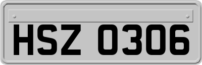 HSZ0306