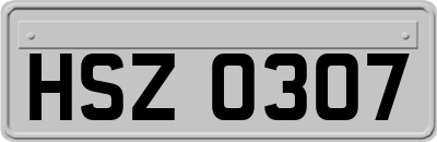 HSZ0307