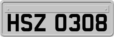 HSZ0308