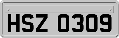 HSZ0309