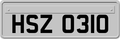HSZ0310