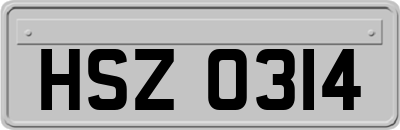 HSZ0314
