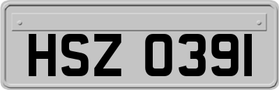 HSZ0391
