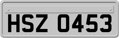 HSZ0453