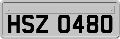 HSZ0480