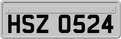 HSZ0524