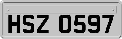 HSZ0597