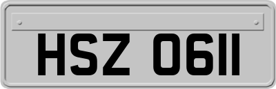 HSZ0611