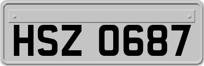 HSZ0687