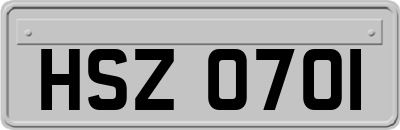 HSZ0701