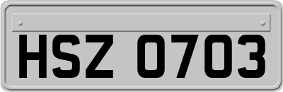 HSZ0703