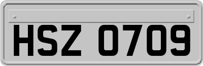 HSZ0709