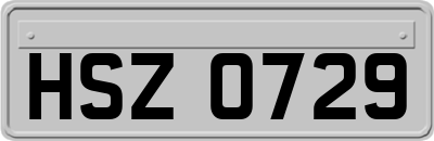 HSZ0729