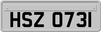 HSZ0731