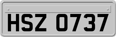 HSZ0737