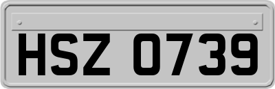 HSZ0739