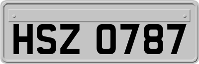 HSZ0787