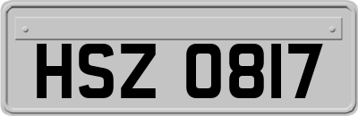HSZ0817
