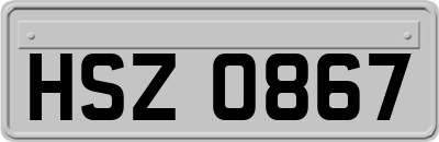 HSZ0867
