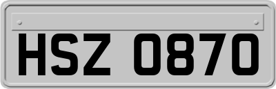 HSZ0870