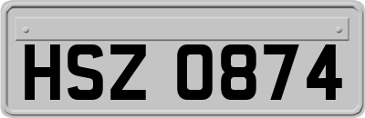 HSZ0874