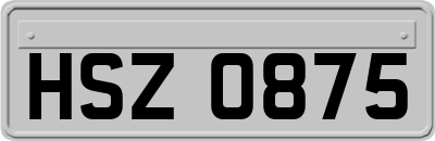 HSZ0875