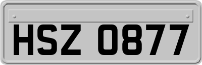 HSZ0877