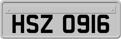 HSZ0916