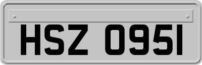 HSZ0951