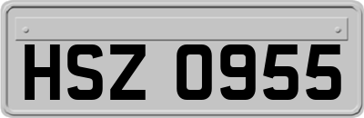 HSZ0955