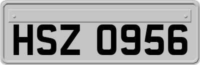 HSZ0956