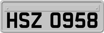 HSZ0958
