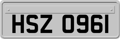 HSZ0961