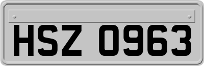HSZ0963
