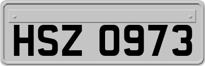HSZ0973