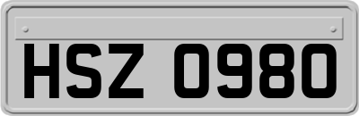 HSZ0980