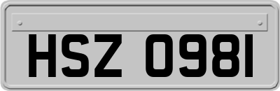 HSZ0981