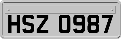 HSZ0987
