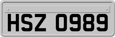 HSZ0989