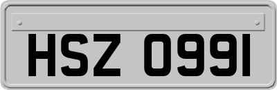 HSZ0991