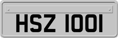 HSZ1001