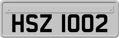 HSZ1002