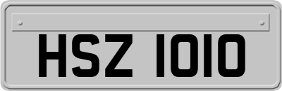 HSZ1010