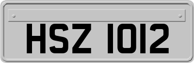 HSZ1012