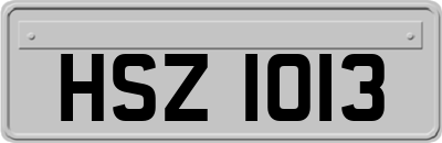 HSZ1013